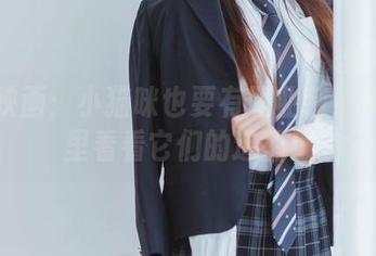 喵糖映画：小猫咪也要有职业装！快来图里看看它们的造型！