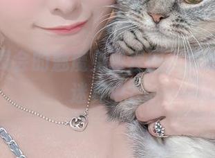 月城委员会的魅魔免费套图，竟然让我沉迷其中？