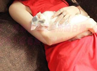 青豆客 – 满满都是谭晓彤的白裙，以后谁敢说白色不够有趣？这图片我心服口服！